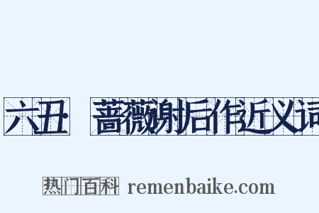 六丑·蔷薇谢后作近义词是什么意思的图片